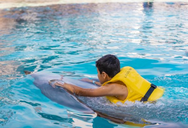 Alanya Dolphin Swimming2