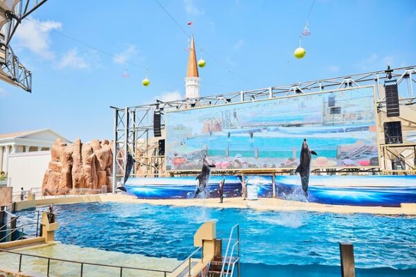 The Land Of Legends Dolphin Shows